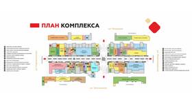 Ассортимент роз в магазинах Пятерочка в Вита Экспресс