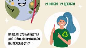 Что можно отправить на переработку в Вита Экспресс