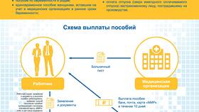 Что значит день платежа в Вита Экспресс