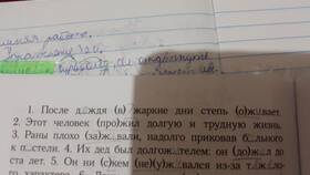 Что значит приставка в Вита Экспресс