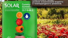 Для чего используют нитраты в Вита Экспресс