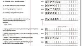 Форма 6-НДФЛ: содержание и назначение в Вита Экспресс