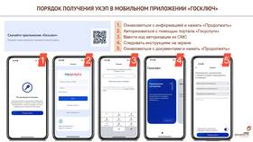Госключ в МФЦ: что это и как получить в Вита Экспресс