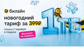 Как добавить гигабайты на Билайн в Вита Экспресс