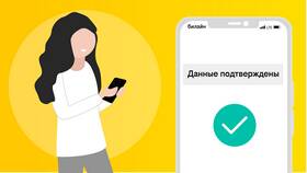 Как можно узнать информацию о Билайн в Вита Экспресс