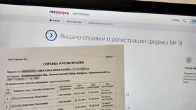 Как найти справку на Госуслугах в Вита Экспресс