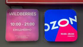Как обновить сайт Wildberries в Вита Экспресс
