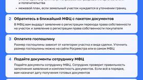 Как оформить куплю-продажу через МФЦ в Вита Экспресс