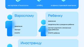 Как оформить страховой полис: пошаговая инструкция в Вита Экспресс