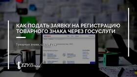 Как подать заявку на регистрацию в Вита Экспресс
