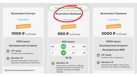 Как подключить телефон к сети Мегафон в Вита Экспресс