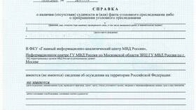 Как правильно заполнить заявление на справку о несудимости через Госуслуги в Вита Экспресс