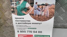 Как выплачивают зарплату в Пятерочке в Вита Экспресс