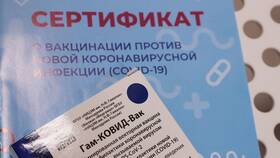 Ответственность за поддельную справку в Вита Экспресс