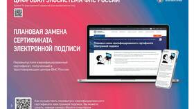 Почему оплата налогов в Туле имеет особенности в Вита Экспресс