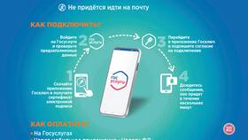 Услуга уведомления: что это в Вита Экспресс