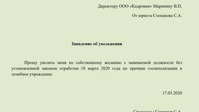 Уволился директор ООО: что делать в Вита Экспресс
