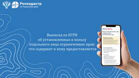 Выписка из ЕГРН: что содержит в Вита Экспресс