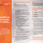 Процедура внесудебного банкротства через МФЦ